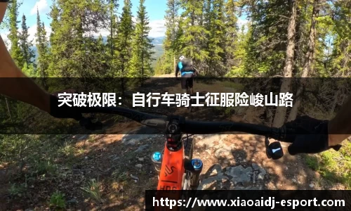 小艾电竞官方网站