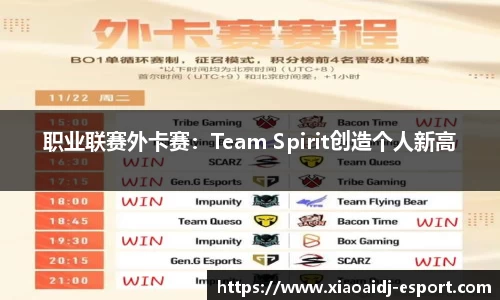 职业联赛外卡赛：Team Spirit创造个人新高