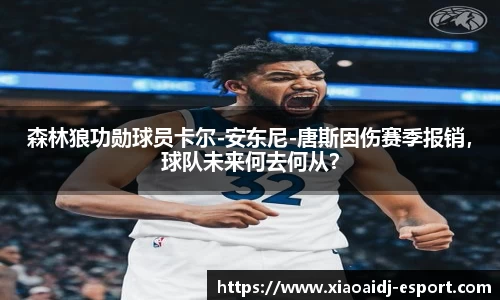 小艾电竞官方正版网站