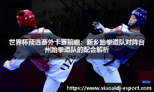 小艾电竞官网